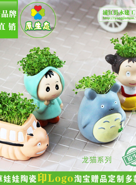 diy舒压植物微景观系列多肉花盆