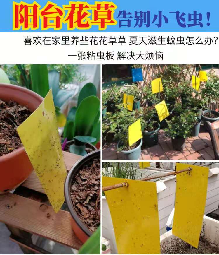 小黄板诱杀小黑飞蚜虫粉虱潜叶果蝇环保物理杀虫诱虫板蓟马虫飞虫 - 图2