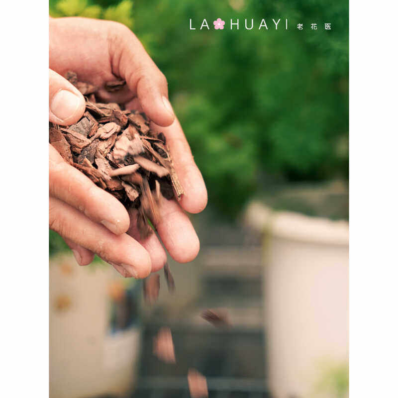 松鳞树皮腐熟大块发酵兰花栽培基质兰科专用营养土,淘宝优惠券,粉丝福利购,淘宝优惠卷
