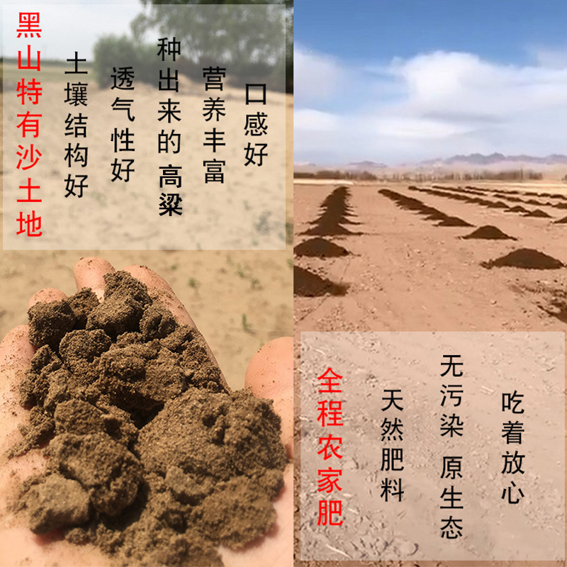 黑山东北特产老品种6a高粱米食用新米白高粱米5斤散装包邮-图0