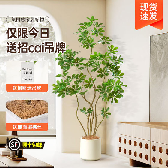 High-quality duck foot wood simulation for home soft furnishings