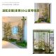 Simulated bamboo green plant landscaping Zen landscape