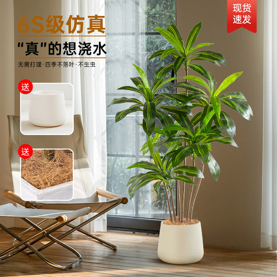 Living room Brazilian wood sofa side decoration simulated green plants