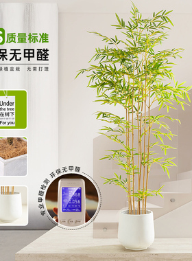 北欧ins风仿真竹子盆栽摆件绿植
