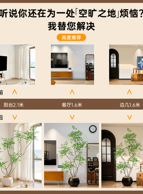 奥运冠军同款高级仿生植物南天竹