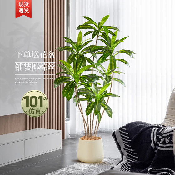 Living room landscaping large floor-standing atmospheric tree Brazilian wood