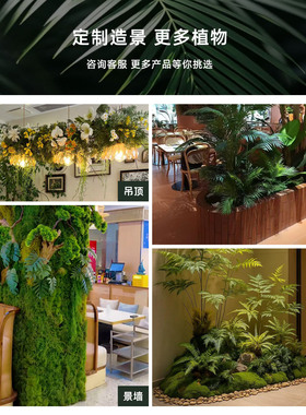 【央美院设计】仿真绿植隔断美学