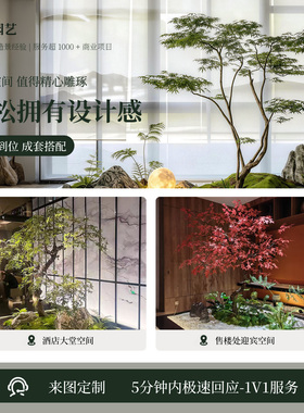 [匠心工艺】枫树造景装饰景观