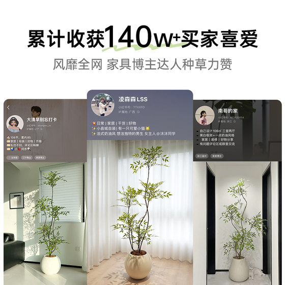 Simulated green plants indoor living room sofa side green plant potted plants