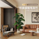 High-end light luxury simulated green plant Monstera deliciosa
