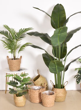 仿真绿植编织花篮天堂鸟落地