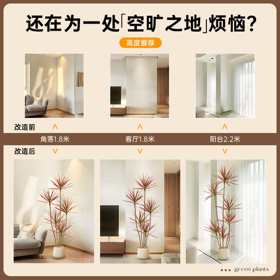 Recommended green plants in the living room: simulated thousand-year-old wood