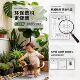 Simulated nandina bamboo landscaping indoor green plants