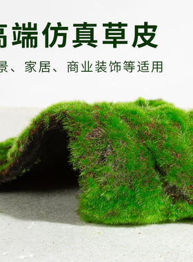 小编力推绿色环保人造苔藓植物