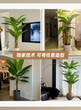 小红书博主推荐仿真绿植