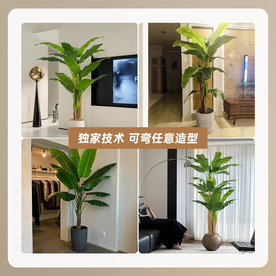 Xiaohongshu blogger recommends simulated green plants