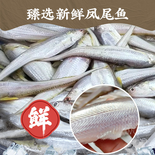 鱼家香美味凤尾鱼罐头184g即食鱼肉海鲜罐头鱼罐头下饭菜 肉制品 - 图0