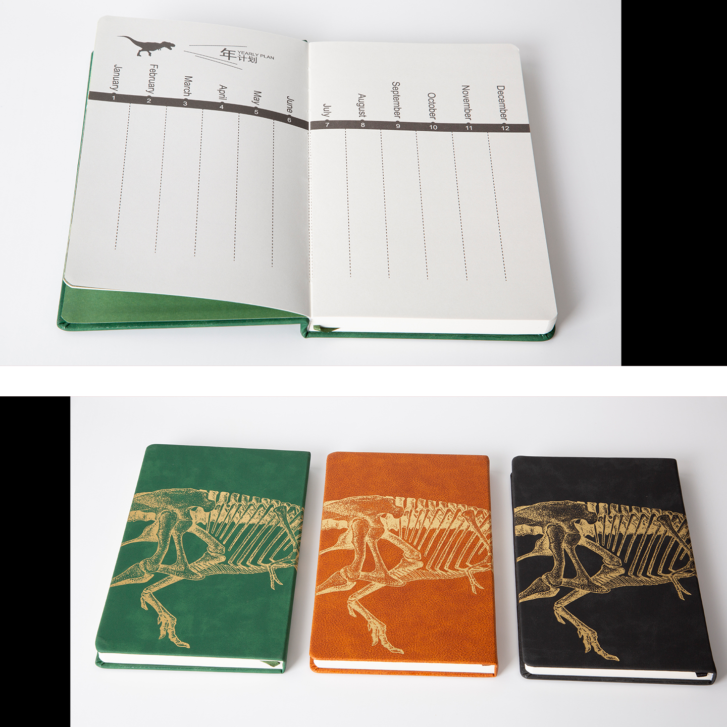 上海自然博物馆文创 | 美绘自然恐龙本子霸王龙骨架笔记本伴手礼