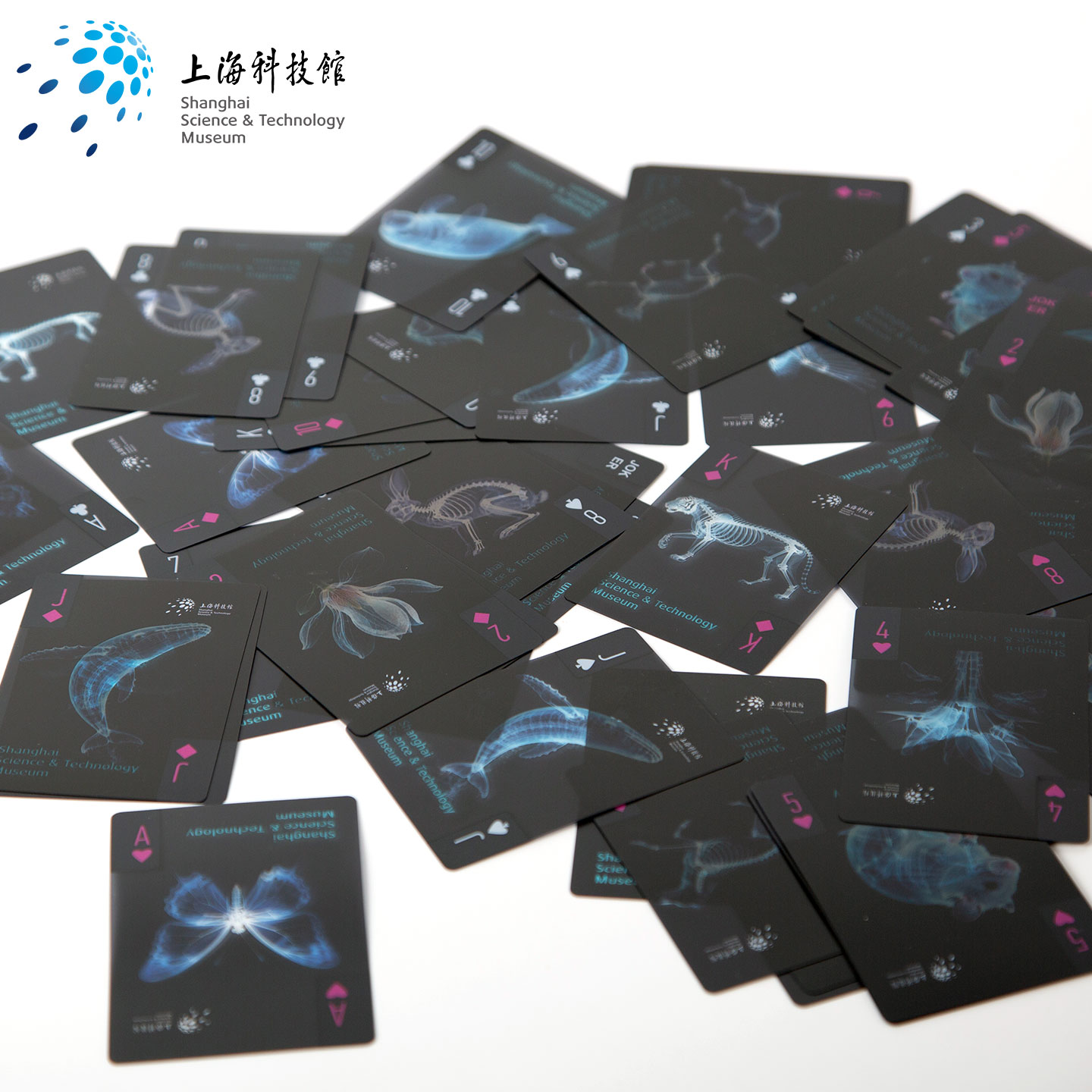 上海科技馆 | 遇见科学家伦琴之光胶片扑克牌透光卡片博物馆文创