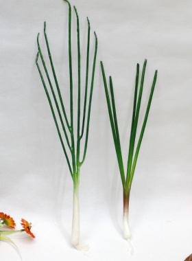 仿真水果蔬菜模型 仿真葱蒜 假葱家居庭园装饰 甩葱舞蹈 模型道具