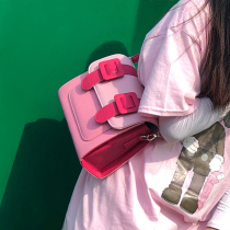 Cambridge womens bag 2021 new small crowdsourced advanced texture mini design 100 lap s large capacity diagonal satchel bag