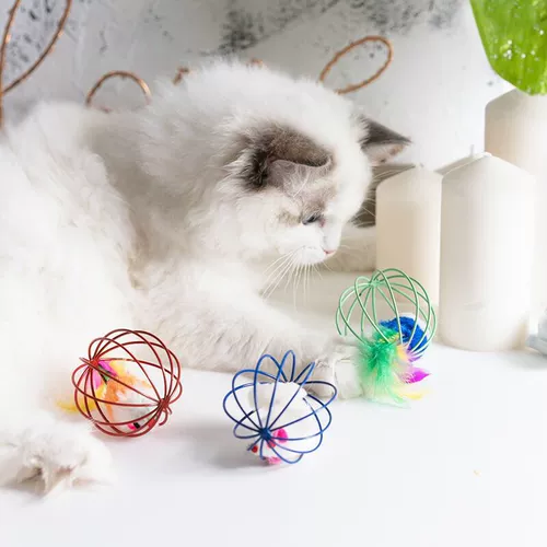 Кошачья игрушка для пленки из мыши укусовой собака игрушка