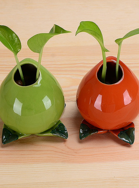 绿萝水培植物器皿客厅桌面花瓶