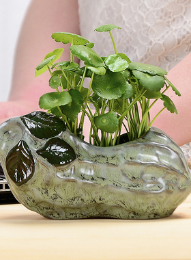 创意花生花瓶水养水培陶瓷摆件