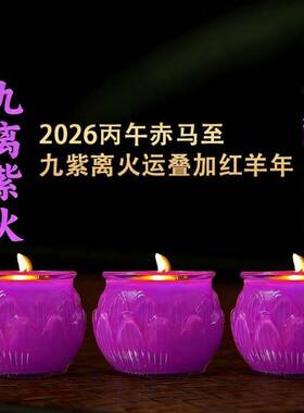 九紫离火灯玻璃莲花灯供佛酥油灯