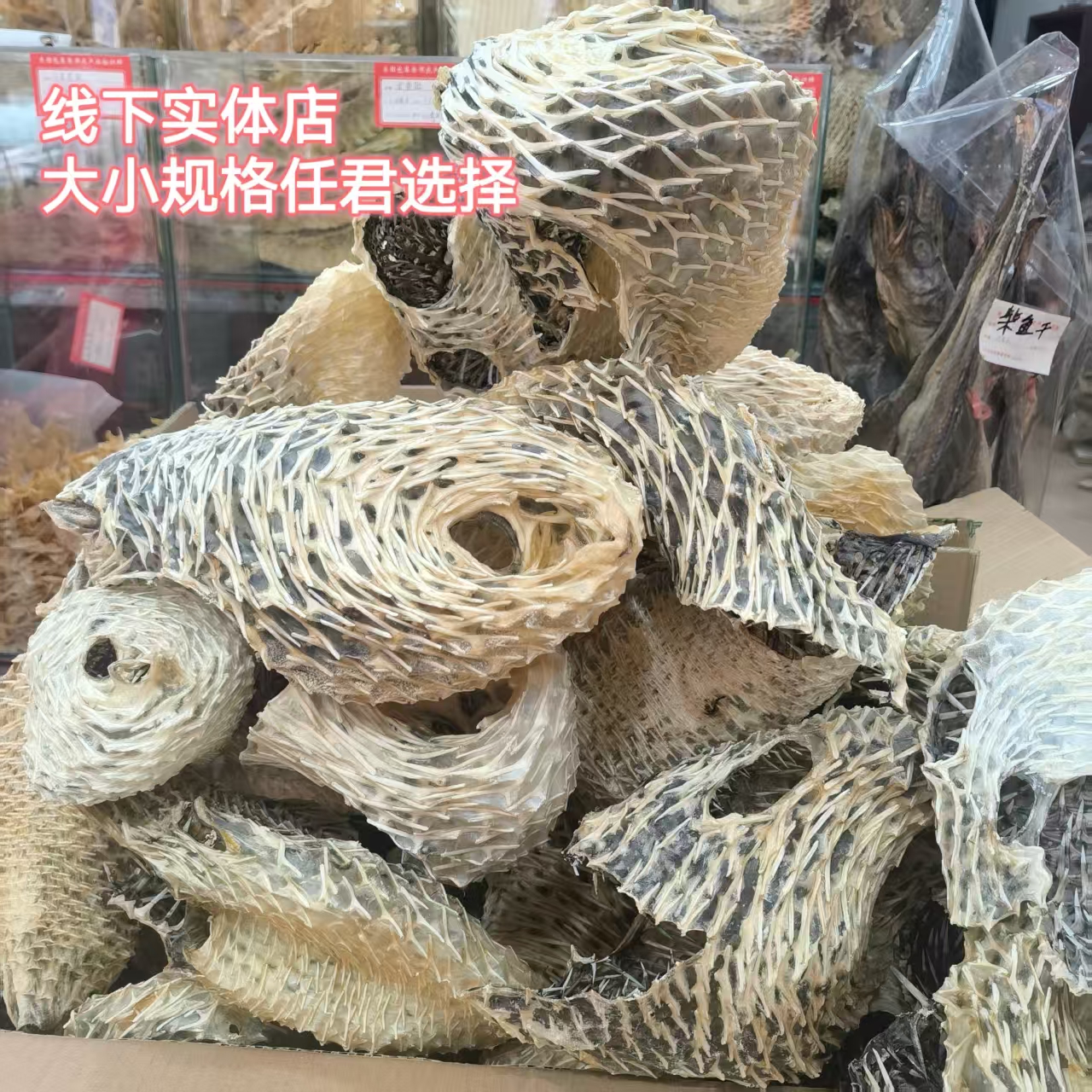 Natural large spiny turtle skin, spiny turtle skin, dolphin skin, sea urchin skin, fish spines, sea thorns, dried seafood, soup for stomach nourishment
