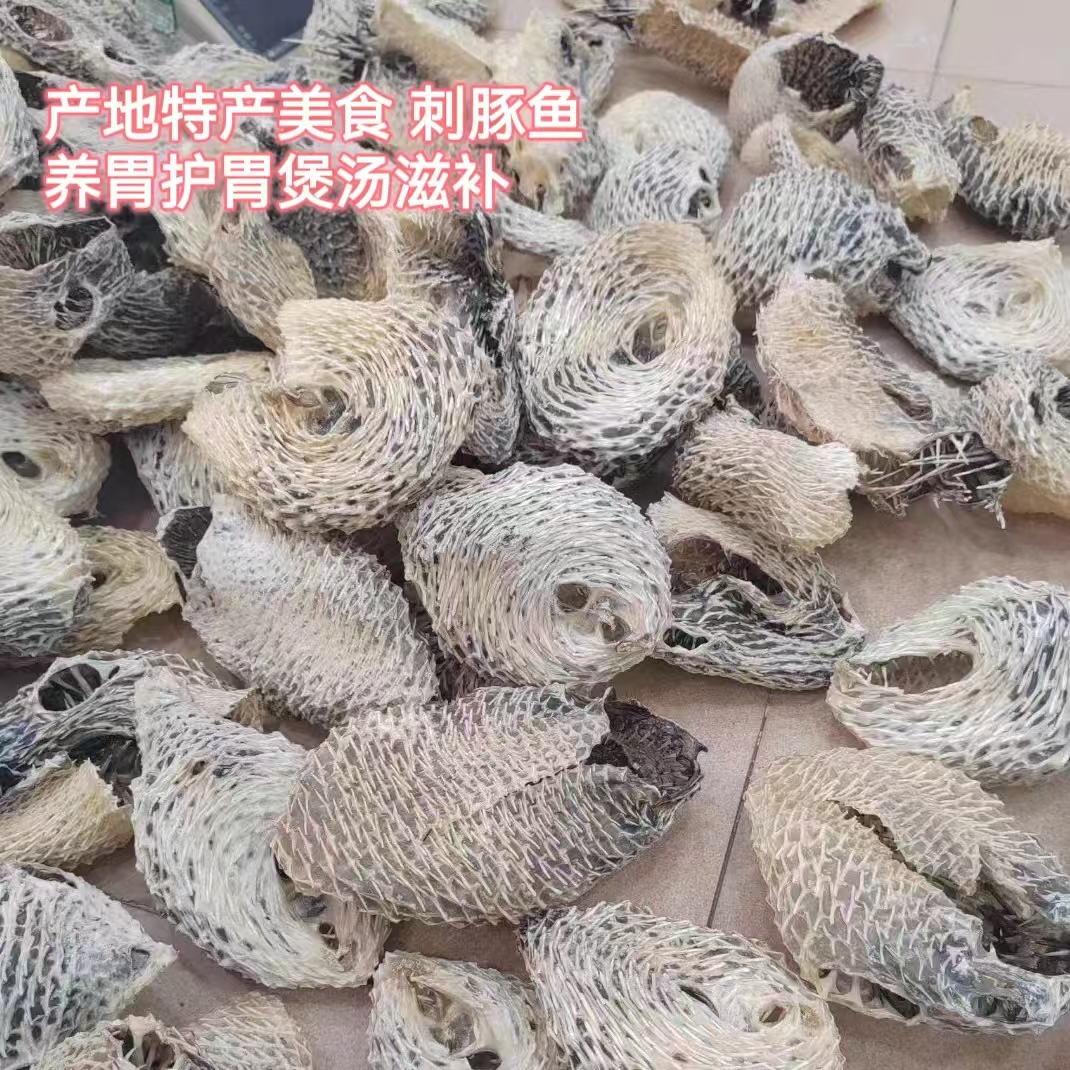 Natural large spiny turtle skin, spiny turtle skin, dolphin skin, sea urchin skin, fish spines, sea thorns, dried seafood, soup for stomach nourishment