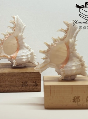 原点礼物伴手礼海螺音箱蓝牙连接手机送人送礼天然贝壳大连