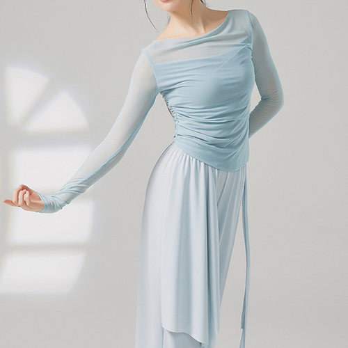 现代舞假两件网纱练功服夏季显瘦长袖瑜伽演出服学生古典舞女上衣 - 图3