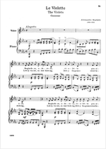 Violet-Le Violette-The fall of the E