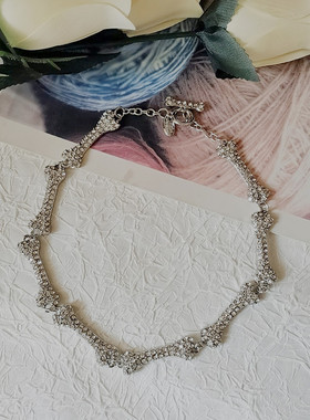 颈链锁骨链无合金百搭骨头链女