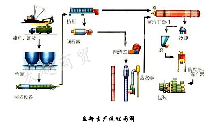 国产鱼粉脱脂鱼骨粉猫狗宠物鸡鸭鹅鹌鹑家禽畜猪水产虾鱼诱饵饲料 - 图2