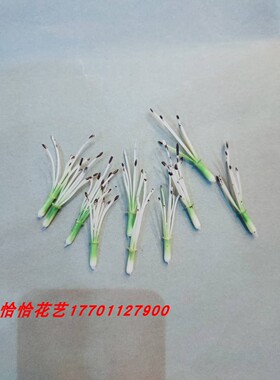 恰恰花艺丝网花材料丝袜花 仿真百子莲34花骨朵枝 百子莲花芯花托