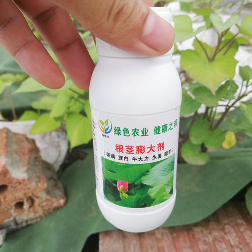 根茎膨大剂块茎丰产素 莲藕茭白牛大力山药生姜叶面喷施肥 - 图0