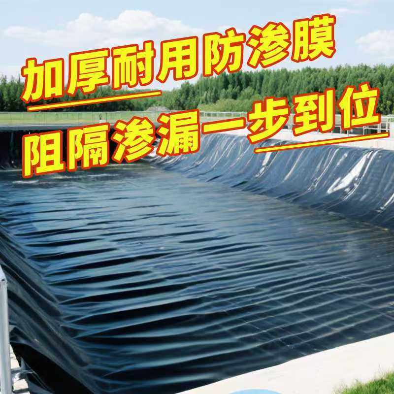 鱼塘防渗膜防水布土工膜鱼塘护坡藕池蓄水池养殖加厚黑色塑料地膜,淘宝优惠券,粉丝福利购,淘宝优惠卷