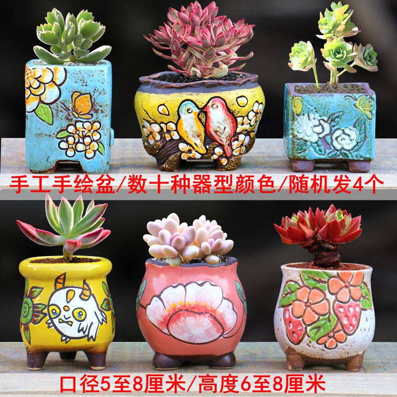 透气多肉植物花盆单棵群生中小号粗陶控养陶瓷特价创意个性拇指盆,淘宝优惠券,粉丝福利购,淘宝优惠卷