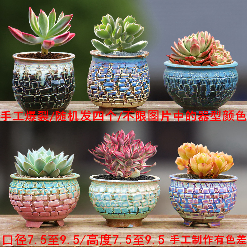 透气多肉植物花盆单棵群生中小号粗陶控养陶瓷特价创意个性拇指盆,淘宝优惠券,粉丝福利购,淘宝优惠卷