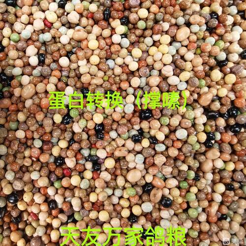 天友万家鸽粮职业蛋白转换幼鸽粮混合豌豆全豆鸽粮5斤40斤包邮 - 图1