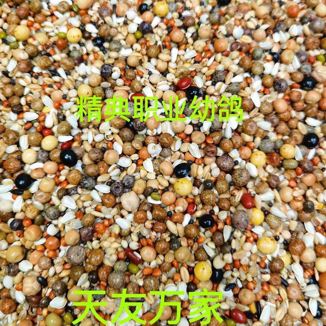 天友万家鸽粮经典职业幼鸽信鸽子赛鸽种鸽粮饲料10斤30斤50斤包邮,淘宝优惠券,粉丝福利购,淘宝优惠卷