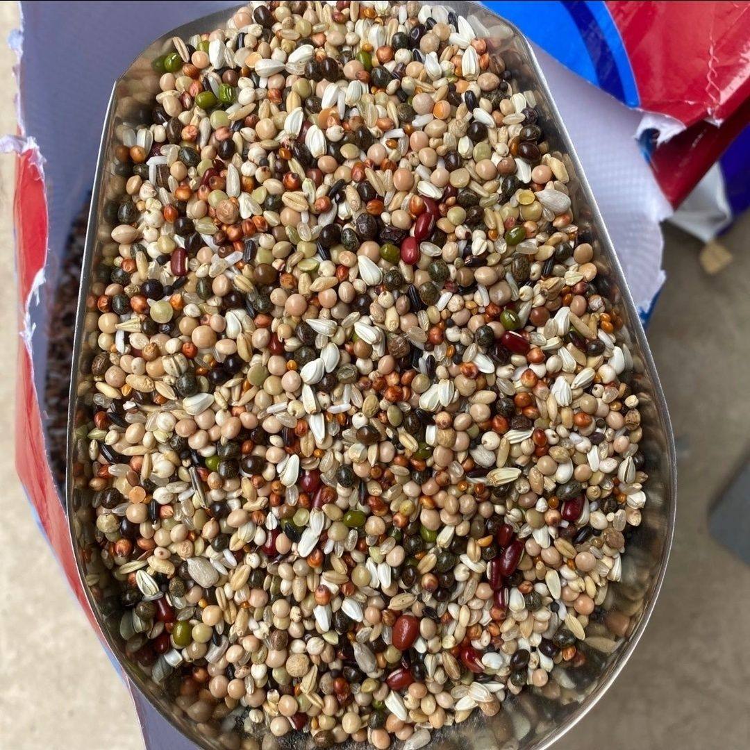 天友万家鸽粮喷窝鸽粮鸽子赛鸽种鸽幼鸽粮饲料10斤30斤50斤包邮,淘宝优惠券,粉丝福利购,淘宝优惠卷