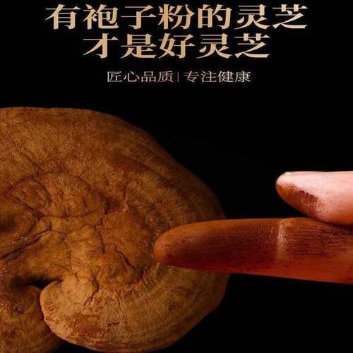长白山赤灵芝带孢子粉灵芝 椴木赤芝林下赤芝 泡酒煮水黑灵芝干货 - 图0