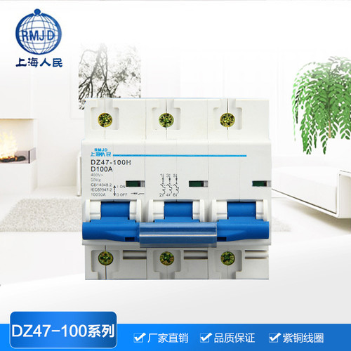 上海人民DZ47-100小型断路器导轨式空气开关100A125A1P2P3P4P80A - 图2