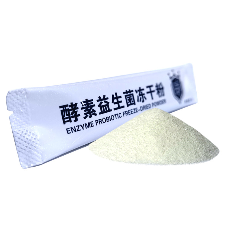 妙康恩酵素活性益生菌冻干粉60袋成人中老年人男女活菌复合益生元