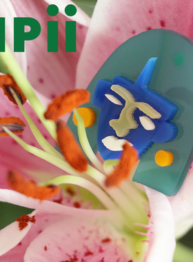npii彩色亚克力摩洛哥蓝色耳环