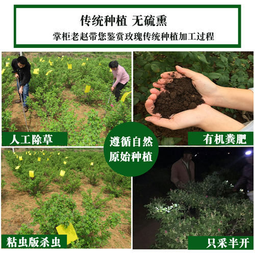手选平阴玫瑰花茶 干玫瑰无硫熏泡水重瓣红玫瑰花冠茶50g - 图0
