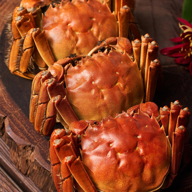 特大现货大闸蟹鲜活螃蟹10只海鲜水产全公母新鲜兴化红膏活蟹包邮,淘宝优惠券,粉丝福利购,淘宝优惠卷